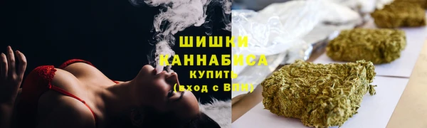 мдпв Снежногорск