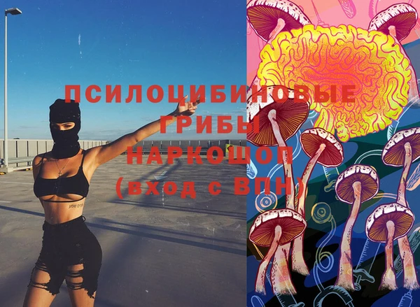 соль курить ск Алзамай
