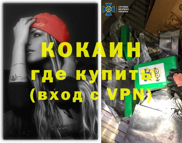 мдпв Снежногорск